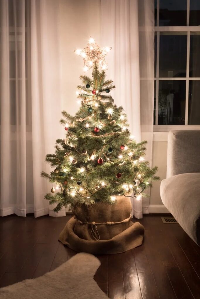 Christmas Potted Tree