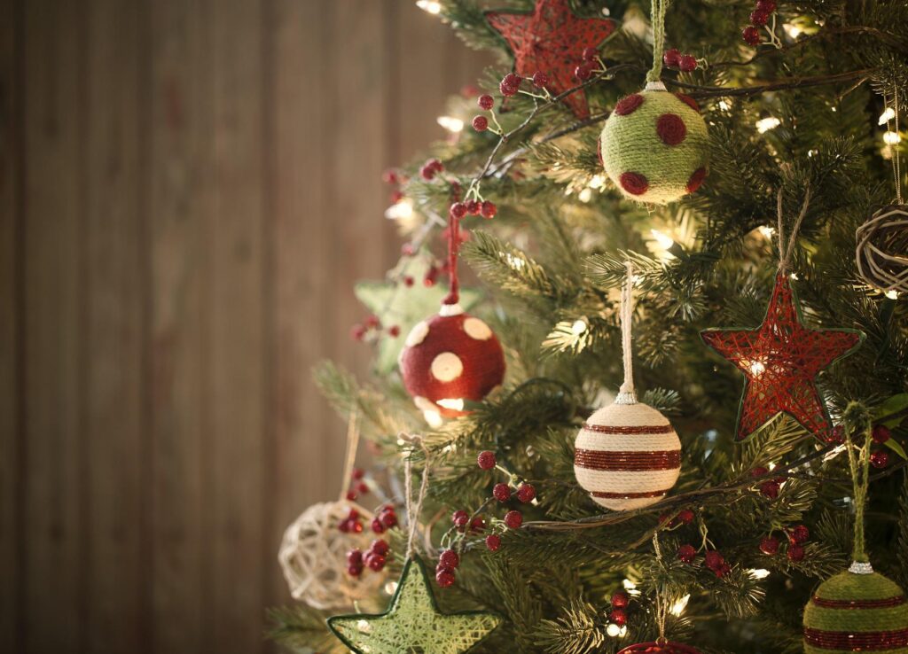 Amazing Ideas to Decorate Your Christmas Tree at Home