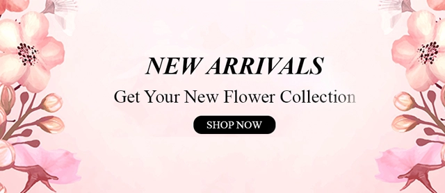 New Arrivals